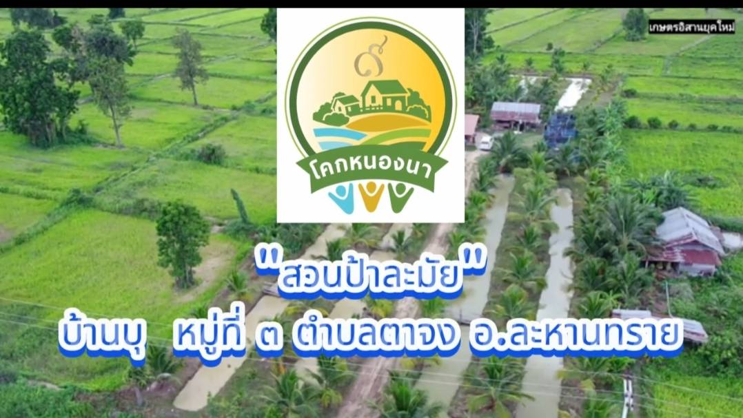 CDD LAHANSAI : GROWTH TEAM LAHANSAI  -พช.ละหานทราย คลิปวีดีโอสรุปผลการดำเนินงานกิจกรรมพัฒนาศูนย์เรียนรู้ทฤษฎีใหม่รูปแบบโคก หนอง นา พัฒนาชุมชน